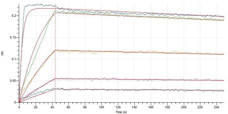 Human IL-4  +BLI.jpg